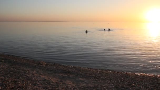 Ηλιοβασίλεμα Στη Θάλασσα Μια Ήρεμη Θάλασσα — Αρχείο Βίντεο