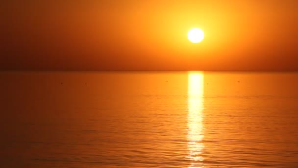 Denizde Güzel Gün Batımı Sakin Bir Deniz — Stok video