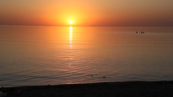 Vacker Solnedgång Havet Ett Lugnt Hav — Stockvideo