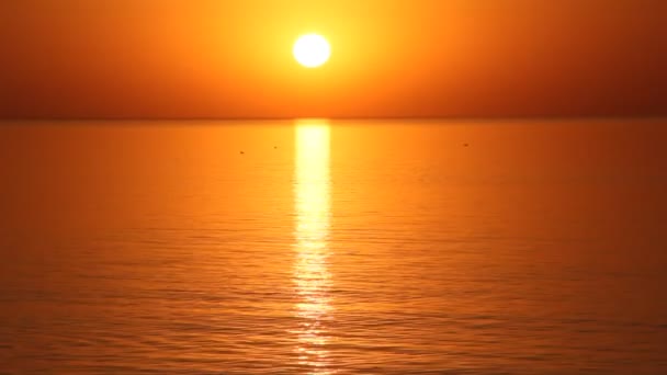 Beau Coucher Soleil Sur Mer Une Mer Calme — Video