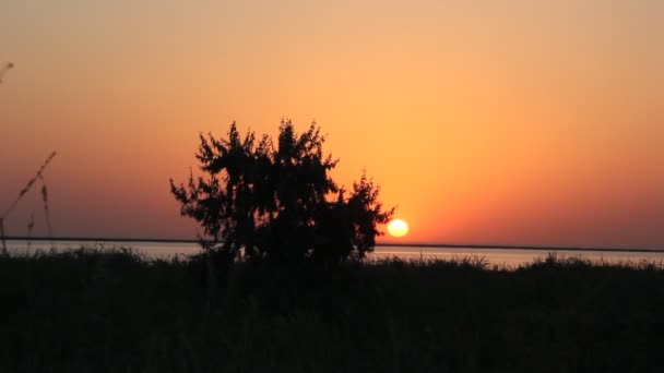 Güzel Gün Batımı Sessiz Bir Göl Kenarında Batan Güneşin Yalnız — Stok video