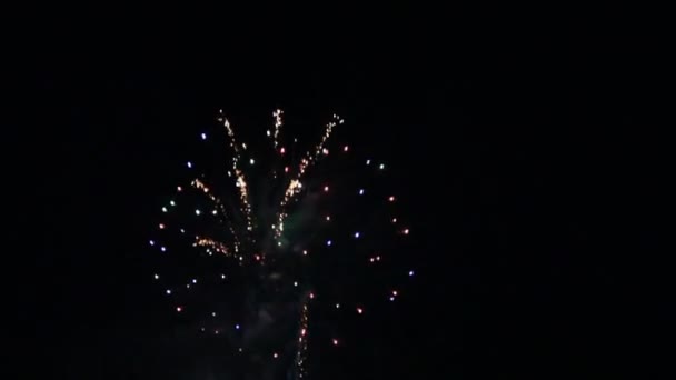 Hermosos Fuegos Artificiales Festivos Cielo Nocturno — Vídeos de Stock