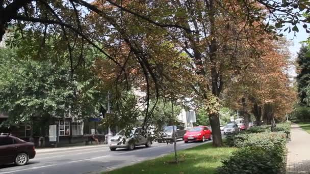 Krasnodar Federacja Rosyjska Sierpień 2016 Krasnaya Street Mieście Krasnodar Krasnodar — Wideo stockowe