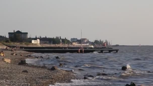 Ένας Γλάρος Που Πετάει Πάνω Από Κύματα Στο Ηλιοβασίλεμα — Αρχείο Βίντεο