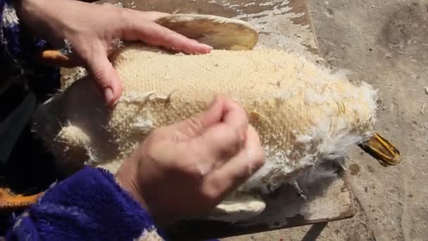 Plucking Duck Woman Pulls Feathers Duck Small Farm — Stock Video