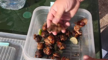 Birine yemek pişirmek için üzüm salyangoz yıkar