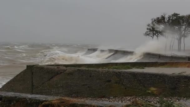 Grandes Vagues Tempête Écrasent Sur Rivage Béton — Video