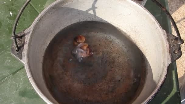 Vorbereitung Von Weinbergschnecken Schnecken Werden Topf Gekocht — Stockvideo