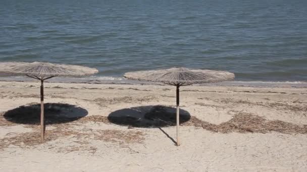 Parasols Bij Zee Paraplu Zijn Gemaakt Van Riet — Stockvideo