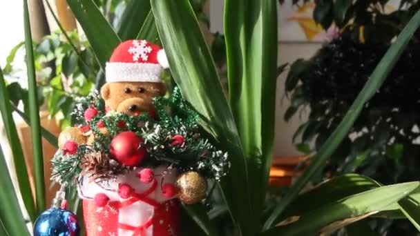 Bär Mit Roter Mütze Sitzt Einem Stiefel Weihnachtsspielzeug — Stockvideo