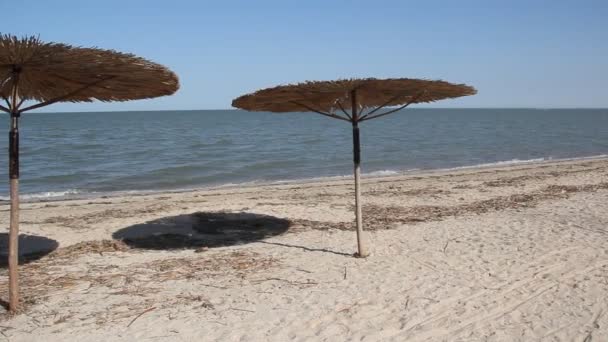 Parasols Bij Zee Paraplu Zijn Gemaakt Van Riet — Stockvideo