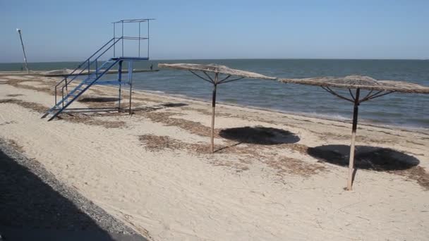 Sombrillas Junto Mar Los Paraguas Están Hechos Cañas — Vídeo de stock