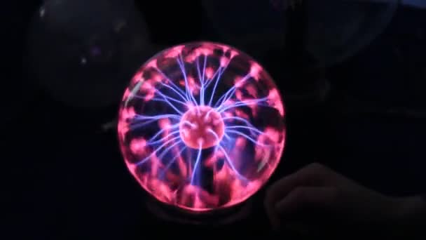 Een Plasma Globe Plasma Lamp — Stockvideo