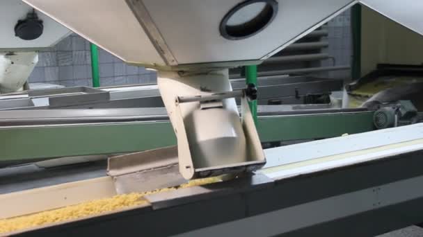 Production Pas Pasta Pours Hopper Conveyorta — Stock Video