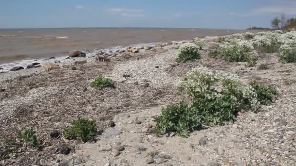 Burzliwe Morze Skaliste Wybrzeże Brzeg Morza Azowskiego Regionie Krasnodar — Wideo stockowe