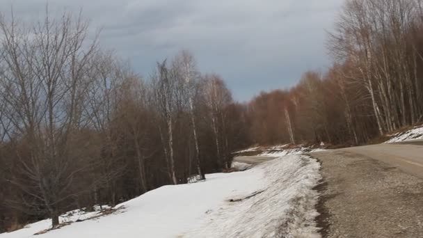 Estrada Inverno Floresta Densa Cresce Longo Estrada — Vídeo de Stock