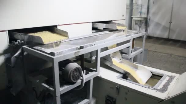 Produktionen Pasta — Stockvideo