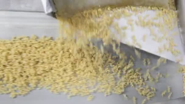Productie Van Pasta — Stockvideo
