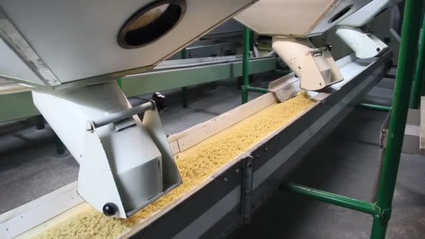 Producción Pasta — Vídeos de Stock