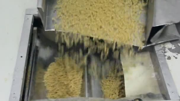 Produzione Della Pasta — Video Stock