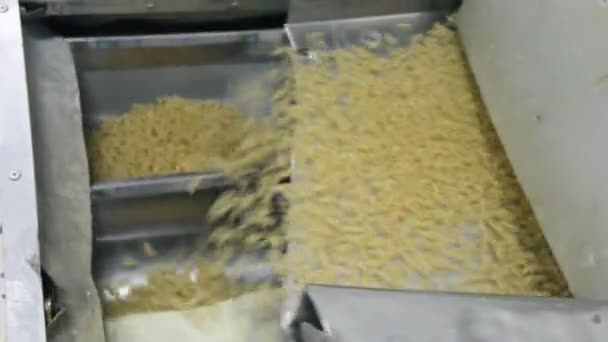 Production Pasta — Stock Video