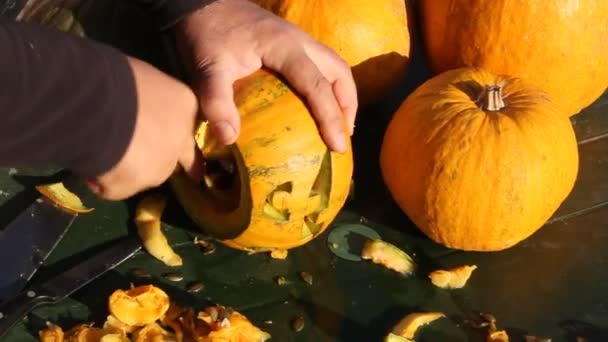 Mann Schnitzt Laterne Aus Einem Kürbis Vorbereitungen Für Halloween Menschenhände — Stockvideo