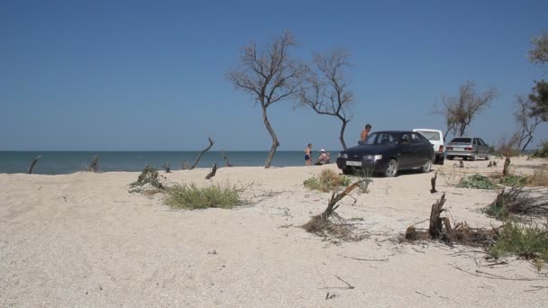 Primorsko Akhtarsk Russie Août 2018 Jeep Tire Voiture Sur Sable — Video