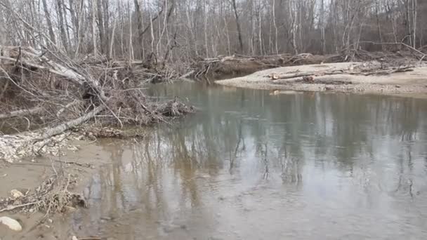 Taiga Rivier Het Vroege Voorjaar Een Bewolkte Dag — Stockvideo