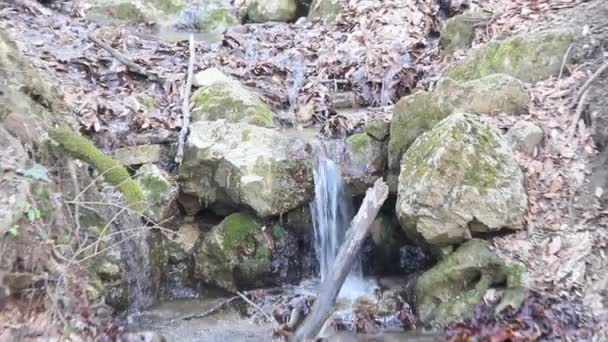 Ruisseau Printanier Cascade Sur Une Pente Raide — Video