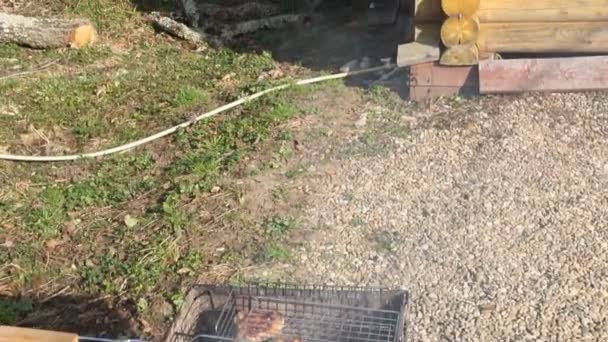 Cozinhando Churrasco Grelha — Vídeo de Stock