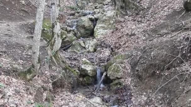 Spring Brook Trapsgewijs Een Steile Helling — Stockvideo