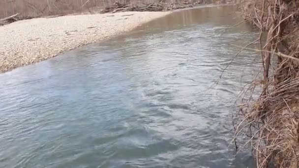 Río Taiga Principios Primavera Día Nublado — Vídeo de stock