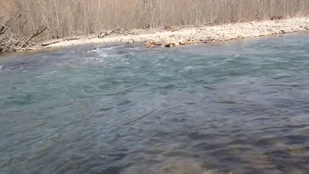 Taiga Rivier Het Vroege Voorjaar Een Bewolkte Dag — Stockvideo