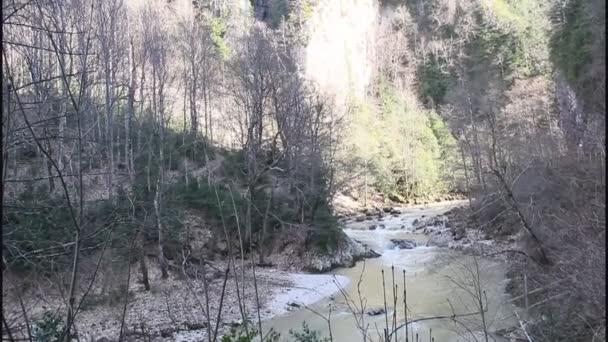 コーカサスでグアム渓谷 ロシア 木の生い茂った岩間野生春川 — ストック動画