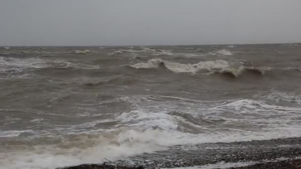 Violent Storm Sea Dirty Foamy Waves Breaking Beach — Stock Video