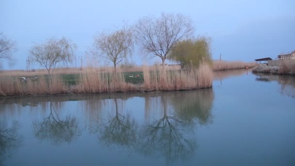 Una Noche Tranquila Paseo Marítimo — Vídeos de Stock