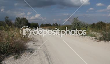 Crambe maritima Azak Denizi'nin kıyısında çalılar. Crambe maritima (deniz kale, deniz cole, seakale, deniz colewort veya crambe) halophytic çiçekli bitki cins Crambe familyasından bir 