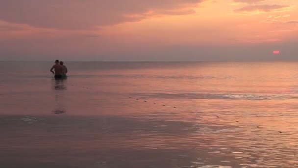 Beau Coucher Soleil Sur Mer Soirée Calme Sur Mer — Video