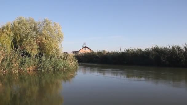 Kanál Osvětlena Ranním Slunci Březích Kanálu Zarostlé Rákosím — Stock video