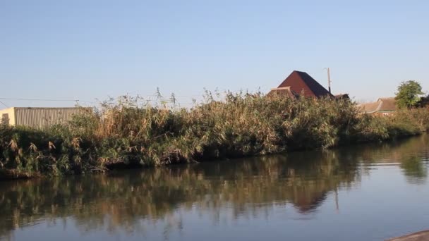 Sabah Güneş Tarafından Aydınlatılmış Kanal Sazlık Ile Büyümüş Kanal Kıyısında — Stok video