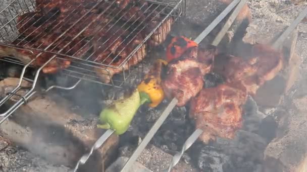 Gotowanie Mięsa Węgle Bbq Piaszczystym Brzegu — Wideo stockowe