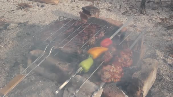 Готовить Мясо Углях Барбекю Песчаных Берегах — стоковое видео