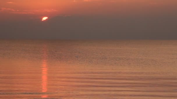 Vacker Solnedgång Havet Kvällen Lugn Havet — Stockvideo