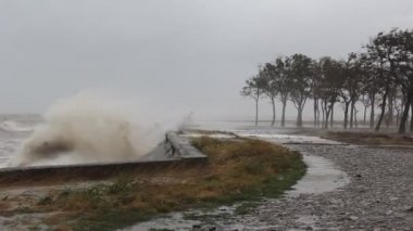 Denizde şiddetli bir fırtına. Kirli ve köpüklü dalgalar kumsalda kırma