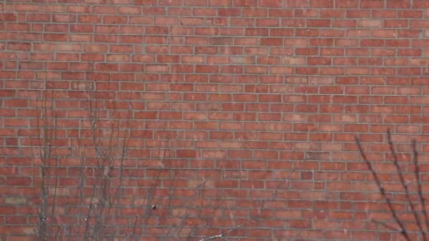 Sneeuwval Achtergrond Van Bakstenen Muur — Stockvideo