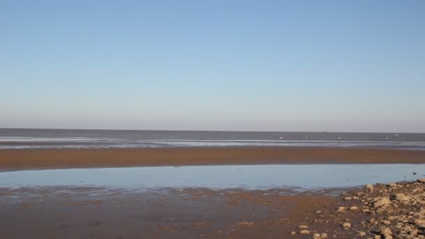 Marée Forte Sur Mer Azov Vent Chassé Eau Rivage — Video