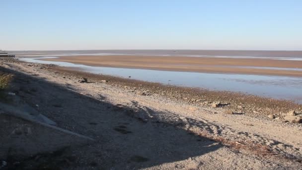 Marea Fuerte Mar Azov Viento Expulsó Agua Orilla — Vídeo de stock