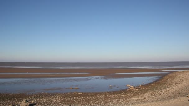 Сильні Відпливу Азовському Морі Вітер Поїхали Води Від Берега — стокове відео