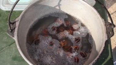 Üzüm salyangoz hazırlanması. Salyangoz bir tencerede pişer