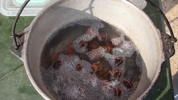 ブドウのカタツムリの準備 カタツムリが鍋で調理します — ストック動画